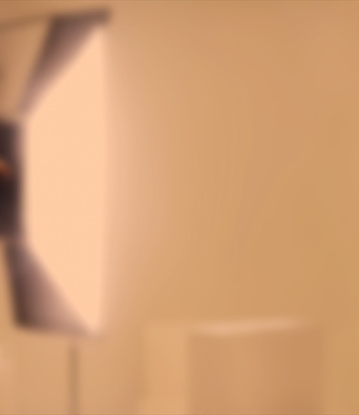 Making the Most of Mentorship Programmes